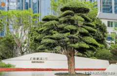 解答项目规划、购房政策等问题）社区内还配备